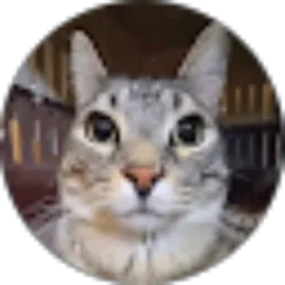 Review From Nengah Paseksuardana