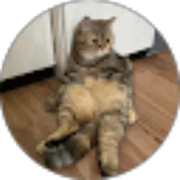 Review From Ica Tanzila