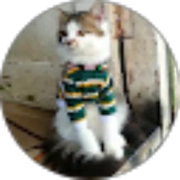 Review From Fajar Teguh