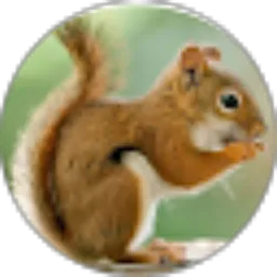 Review From Nathasya Liunokas