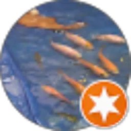 Review From MDC Driver