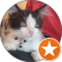 Review From MULHIKUL ABROR