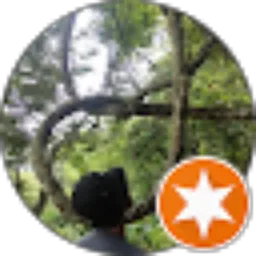 Review From Lutfi Abid