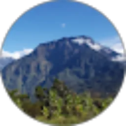 Review From Dika Dwi Putranto