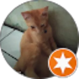 Review From Laela 449