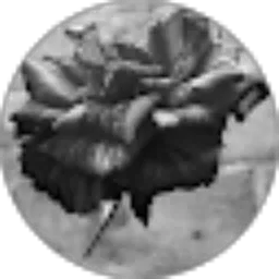 Review From wima top