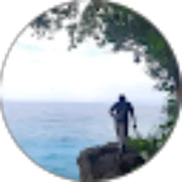 Review From Wahju S. Hidayat