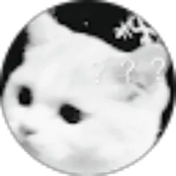 Review From ivana prima