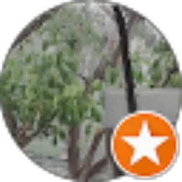 Review From Muhammad Nur