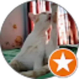 Review From fey isfebya