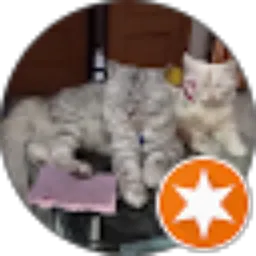 Review From Itsuka S2n