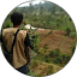 Review From maulana yusuf