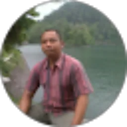 Review From Aris Gunadi