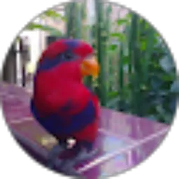 Review From Tommy Setiawan Putra