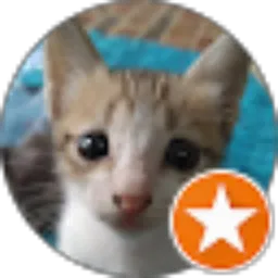 Review From Tri Amanda