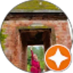 Review From Zalfa aliya Nadzifah