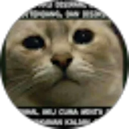 Review From Dian Novita