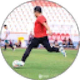 Review From Noor Wiharjanto