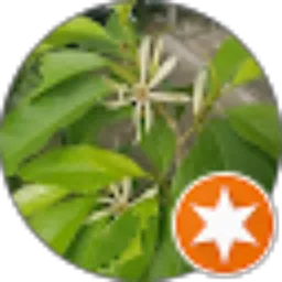 Review From Vina Vika