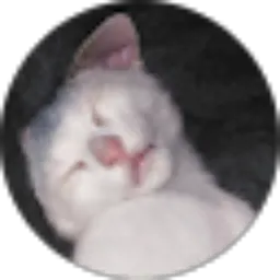 Review From Cripta Ziza