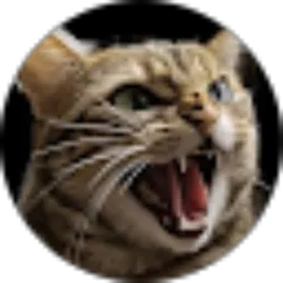 Review From Level Elektrik