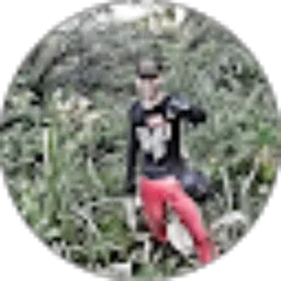 Review From Dintar Putra