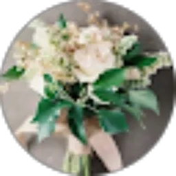 Review From devi citra