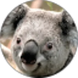 Review From andri rahmadarman