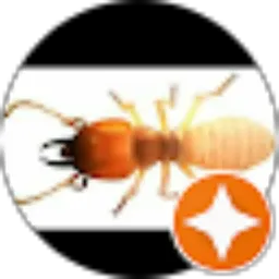 Review From tatuil Dance