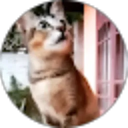 Review From Puspa Udreini