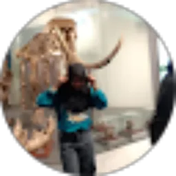 Review From Dinar Rima dona