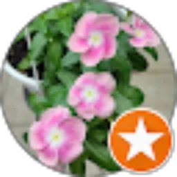 Review From Vinca Palembang