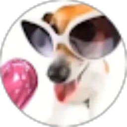 Review From EDLYNNE FELICA RIANDY