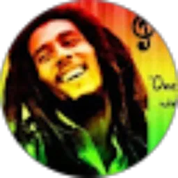 Review From Riley Lane