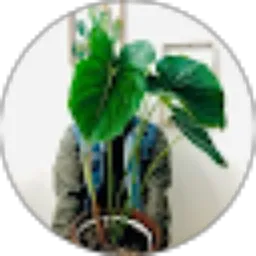 Review From Sukirman Busrah