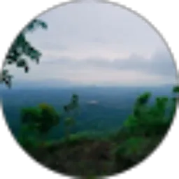 Review From Sugiyono