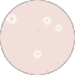 Review From Rachil Maulida