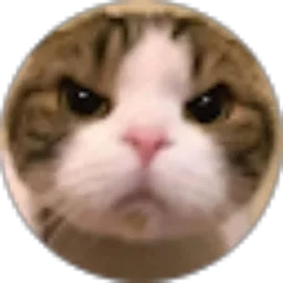 Review From sherly novianti