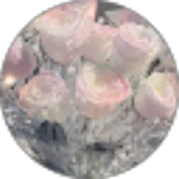 Review From DMA-Selfiani