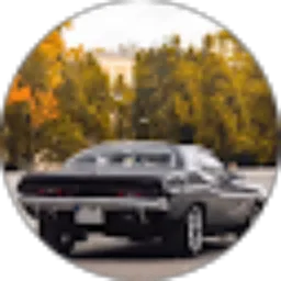 Review From aldy rfa