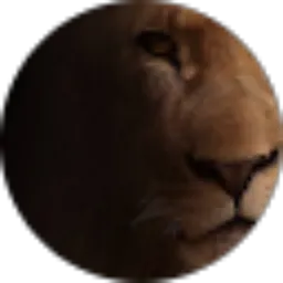 Review From muhammad Faisal