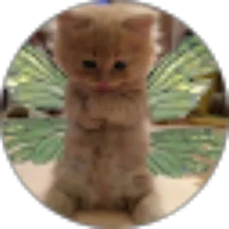 Review From Gendhis Kayla