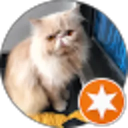 Review From Bas suni