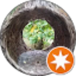 Review From Yunus Wijaya