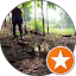 Review From Arif Wahyudi