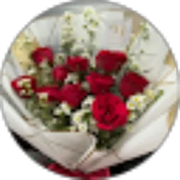 Review From Fella Avesiena