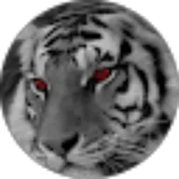 Review From kurniawan andika