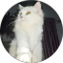 Review From Latifa Hanum