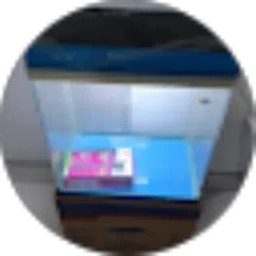 Review From fadli putra