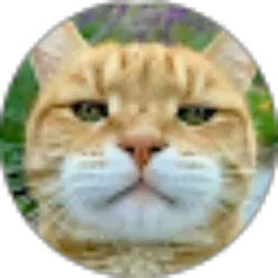 Review From Rachmat Zailani